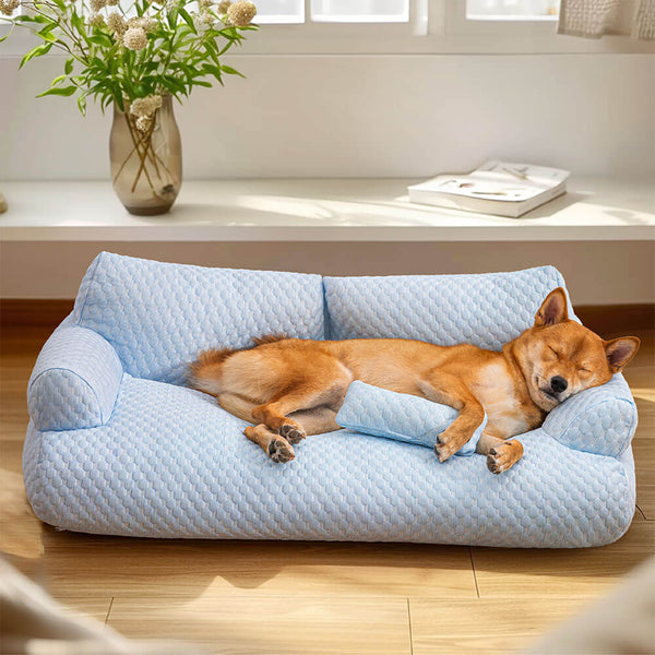 Waschbares und erfrischendes Hundesofa