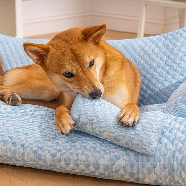 Waschbares und erfrischendes Hundesofa