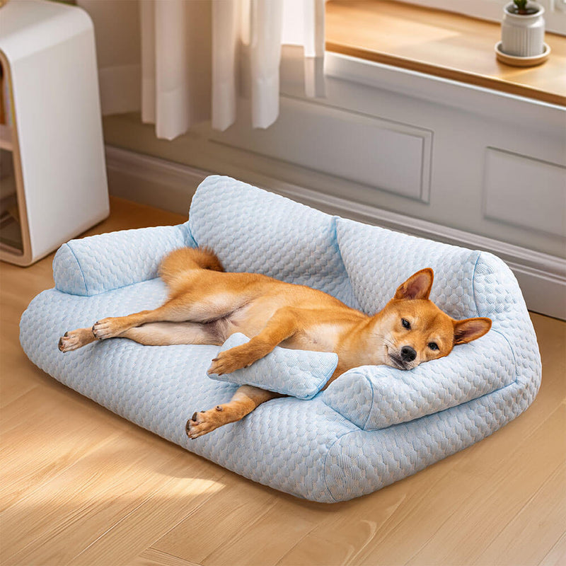 Waschbares und erfrischendes Hundesofa
