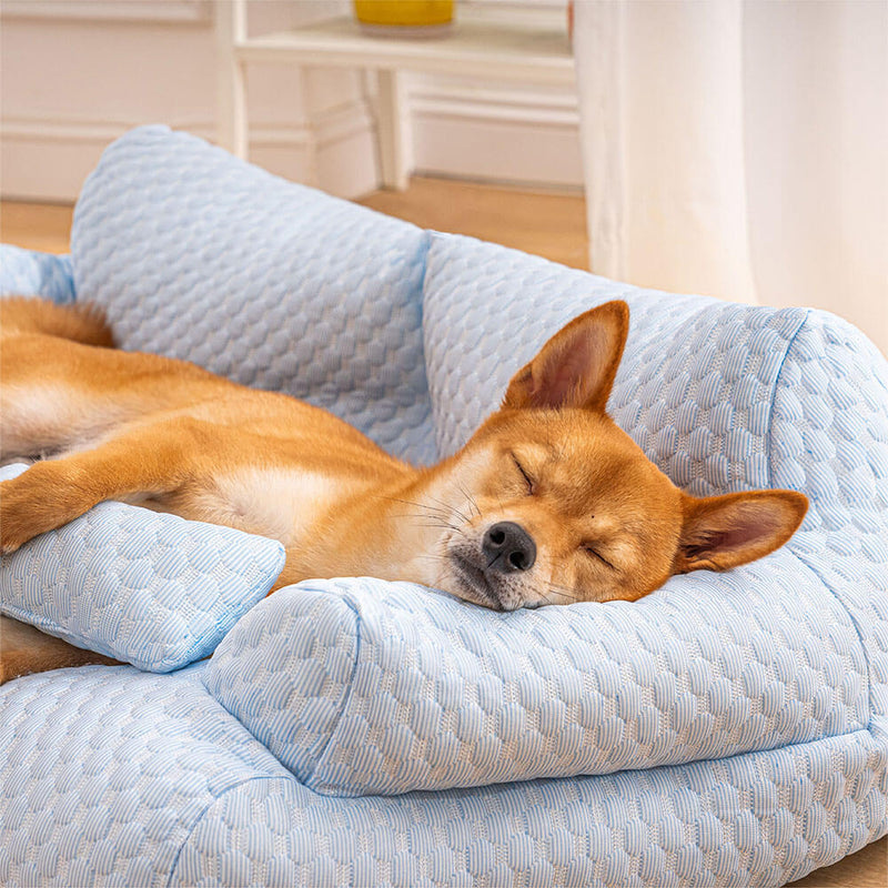 Waschbares und erfrischendes Hundesofa